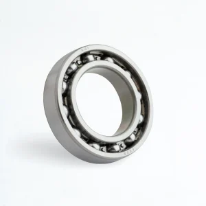 6008 Bearing